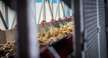 Bieten in de fabriek